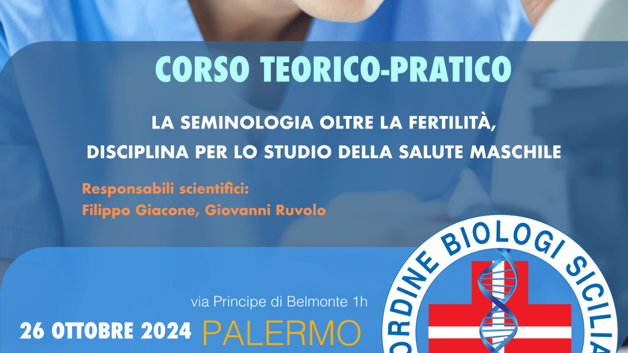26/10/2024 - OBS - SO2536