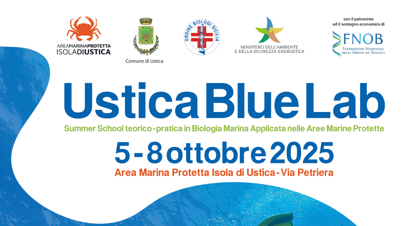 Summer School teorico-pratica in Biologia Marina Applicata nelle Aree Marine Protette