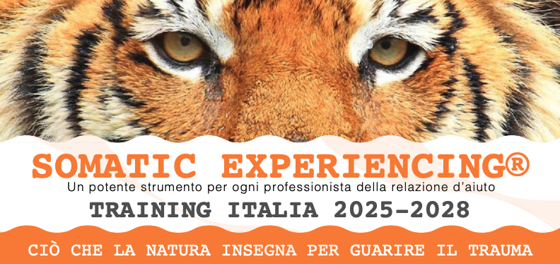 SOMATIC-EXPERIENCING PRINCIPIANTI 2